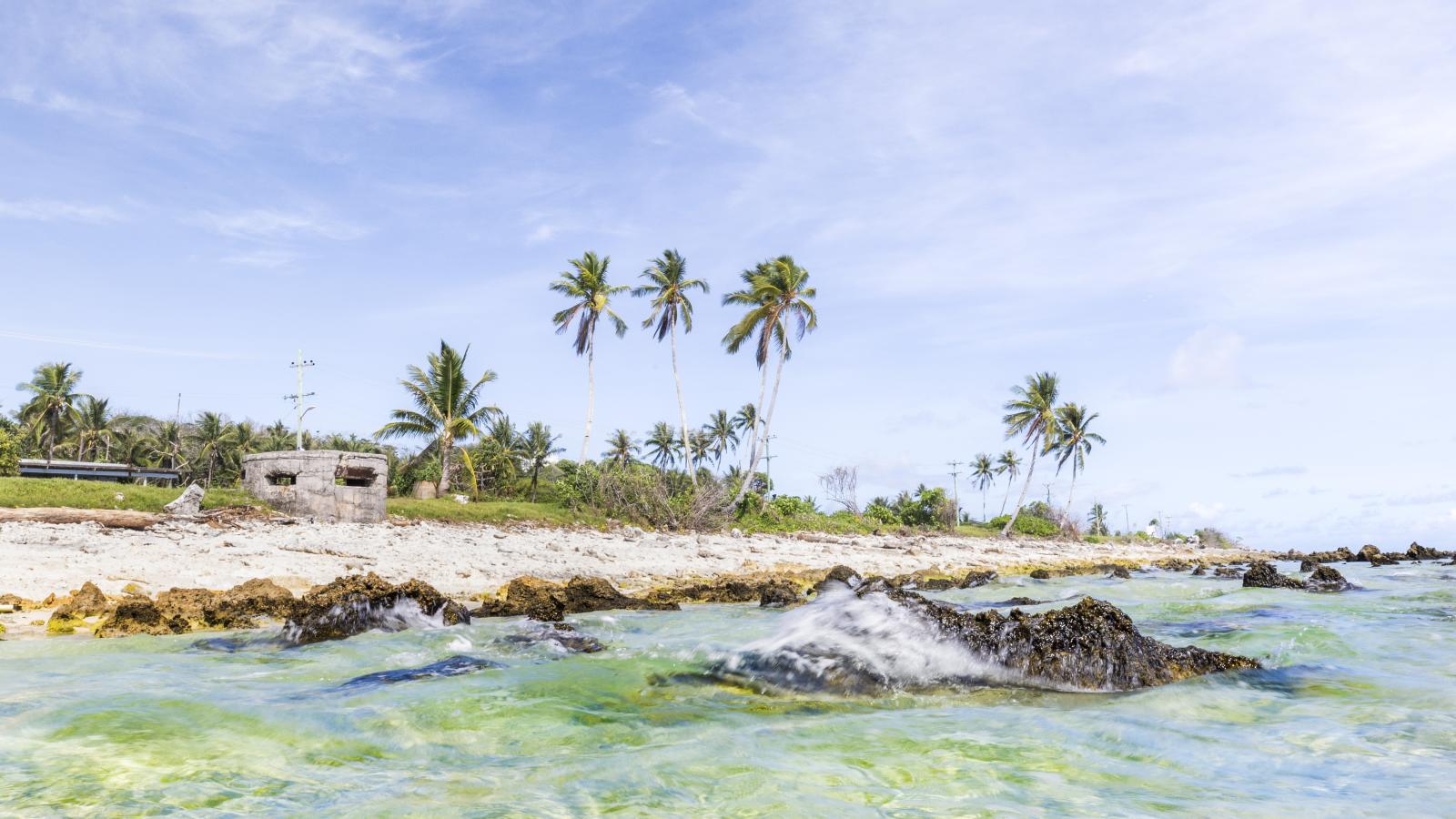 Waves breaking on a beach in Nauru with coconut palms along the shoreline.